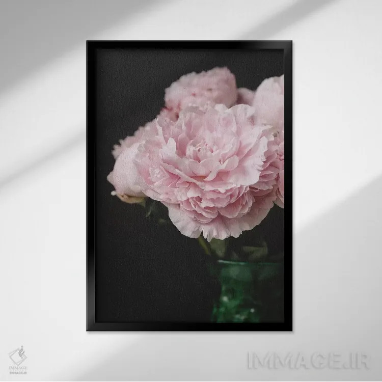 تابلو دکوراتیو صدتومانی های صورتی روی زمینه سیاه ۲ اثر چلسیا ویکتوریا - نمای قابدار مشکی