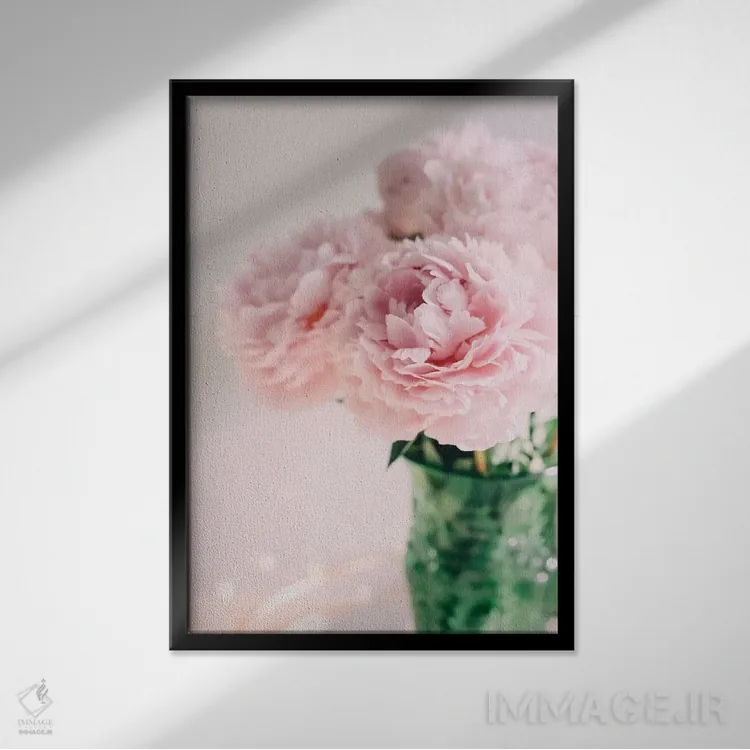 تابلو دکوراتیو صدتومانی های صورتی روی زمینه سفید ۲ اثر چلسیا ویکتوریا - نمای قابدار مشکی