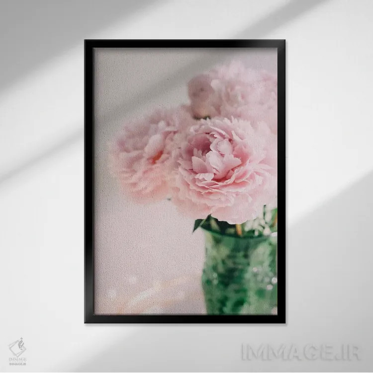 تابلو دکوراتیو صدتومانی های صورتی روی زمینه سفید ۲ اثر چلسیا ویکتوریا - نمای قابدار مشکی