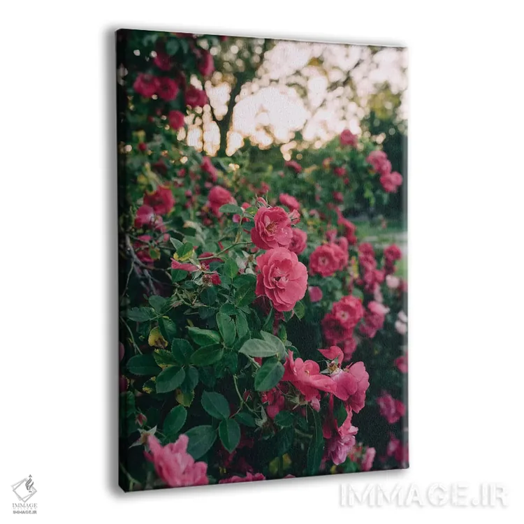 تابلو دکوراتیو بوته گل رز ۲ اثر چلسیا ویکتوریا - نمای پرسپکتیو محصول