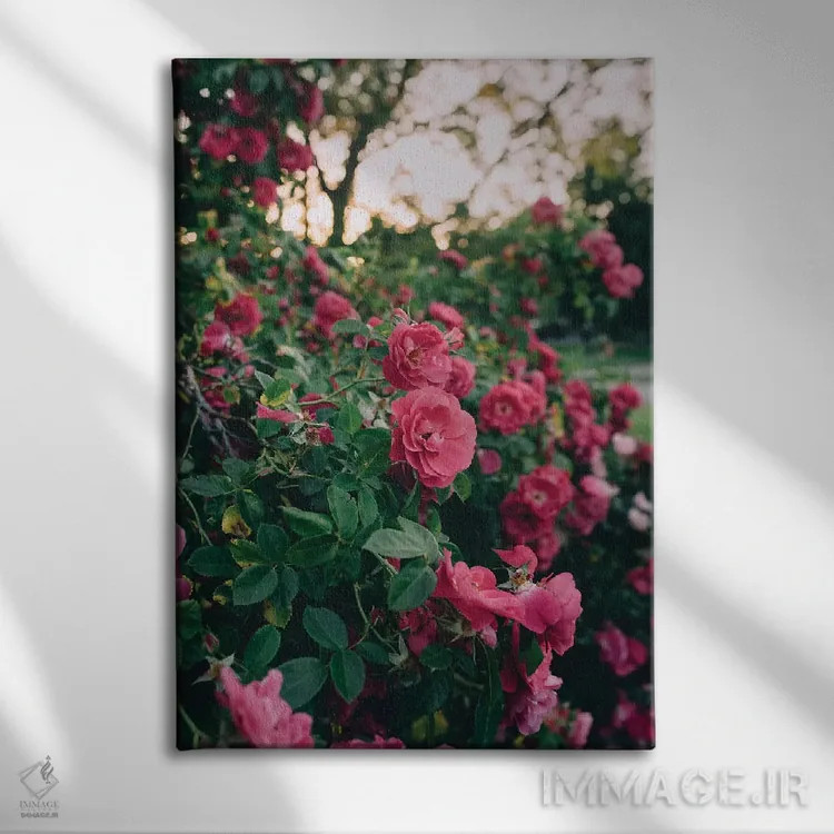 تابلو دکوراتیو بوته گل رز ۲ اثر چلسیا ویکتوریا - نمای روبهرو روی دیوار