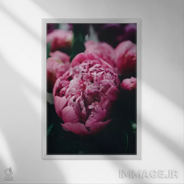 تابلو دکوراتیو صدتومانی بنفش اثر چلسیا ویکتوریا - نمای قابدار سفید