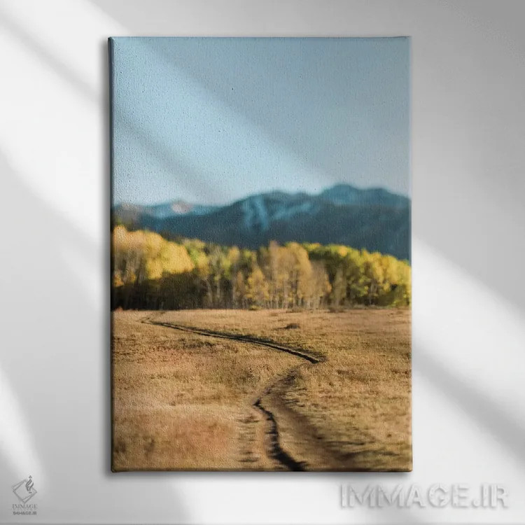 تابلو دکوراتیو مسیر دریاچه بید اثر چلسیا ویکتوریا - نمای روبهرو روی دیوار