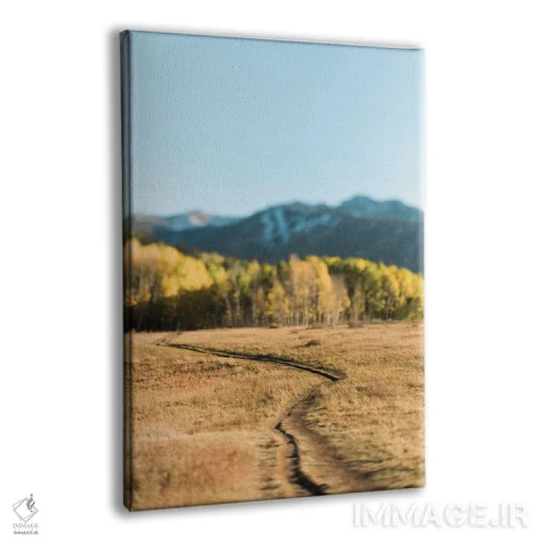 تابلو دکوراتیو مسیر دریاچه بید اثر چلسیا ویکتوریا - نمای پرسپکتیو محصول