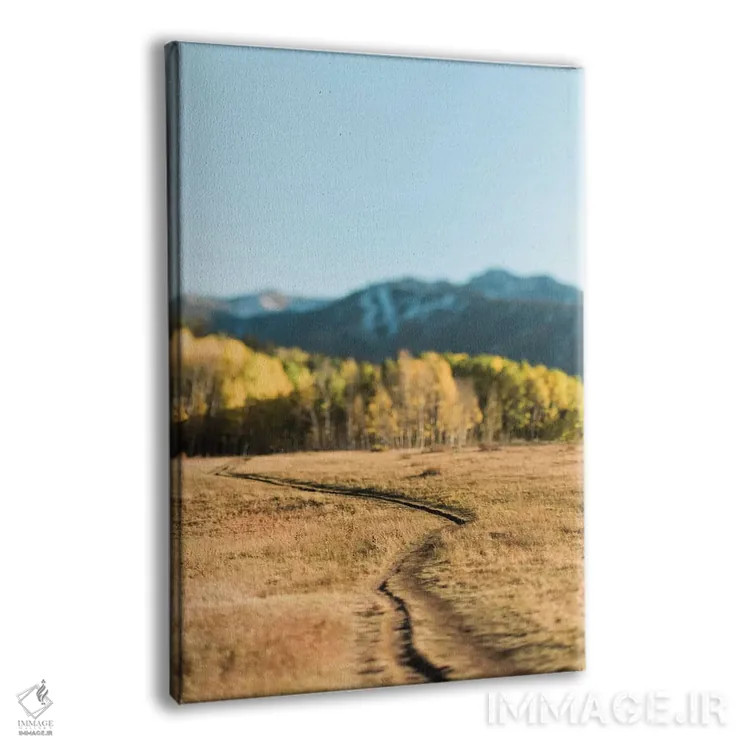 تابلو دکوراتیو مسیر دریاچه بید اثر چلسیا ویکتوریا - نمای پرسپکتیو محصول