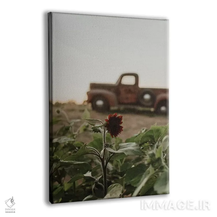 تابلو دکوراتیو کامیون و آفتابگردان اثر چلسیا ویکتوریا - نمای پرسپکتیو محصول
