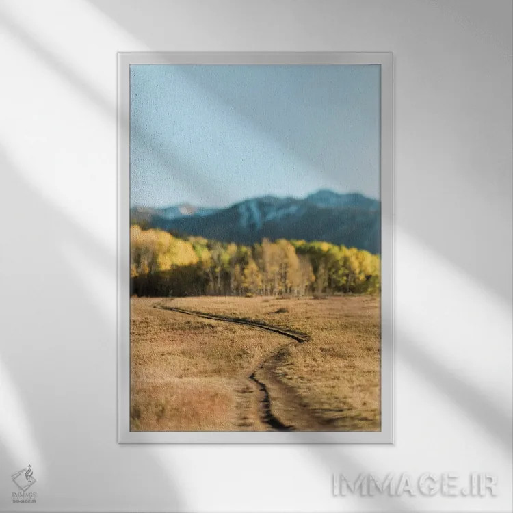 تابلو دکوراتیو مسیر دریاچه بید اثر چلسیا ویکتوریا - نمای قابدار سفید