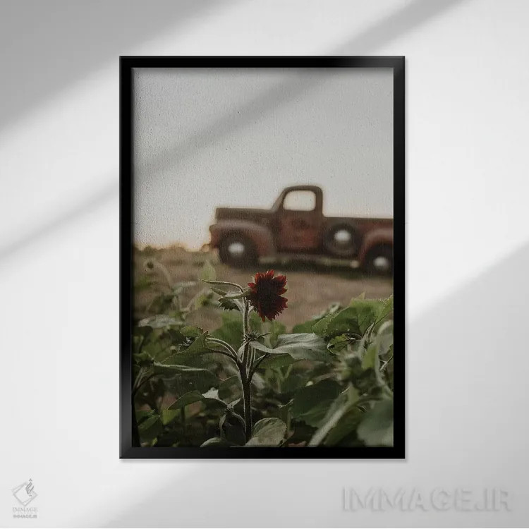 تابلو دکوراتیو کامیون و آفتابگردان اثر چلسیا ویکتوریا - نمای قابدار مشکی