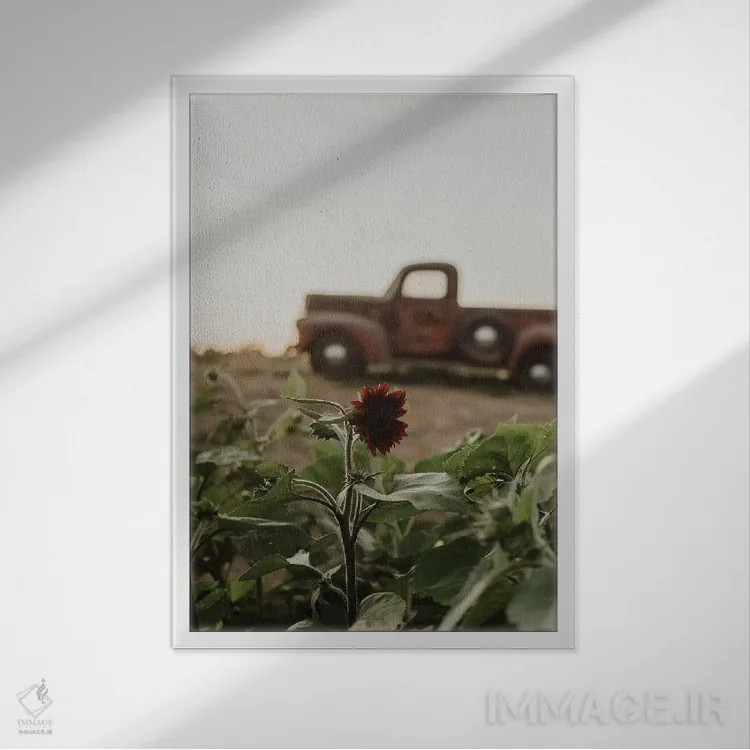 تابلو دکوراتیو کامیون و آفتابگردان اثر چلسیا ویکتوریا - نمای قابدار سفید