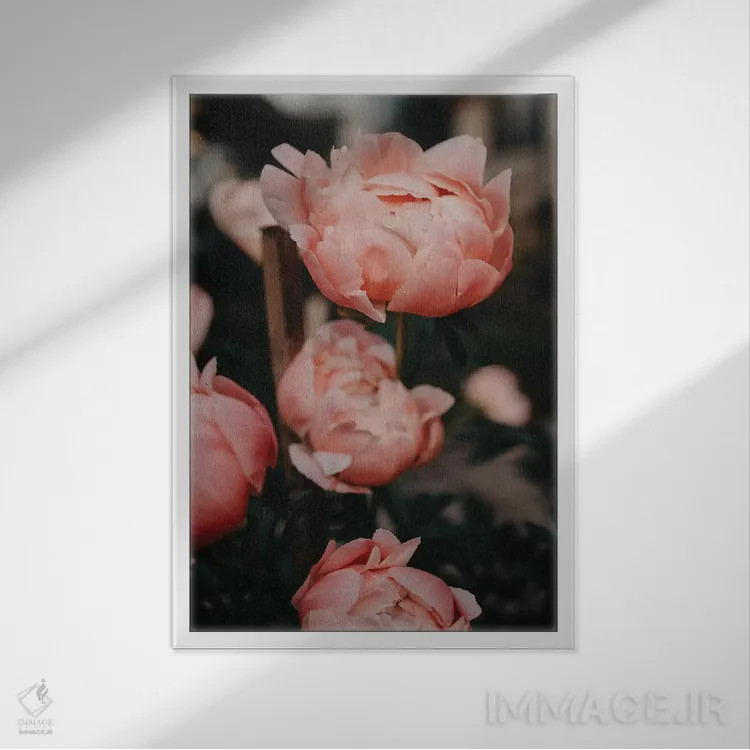 تابلو دکوراتیو باغ صدتومانی اثر چلسیا ویکتوریا - نمای قابدار سفید