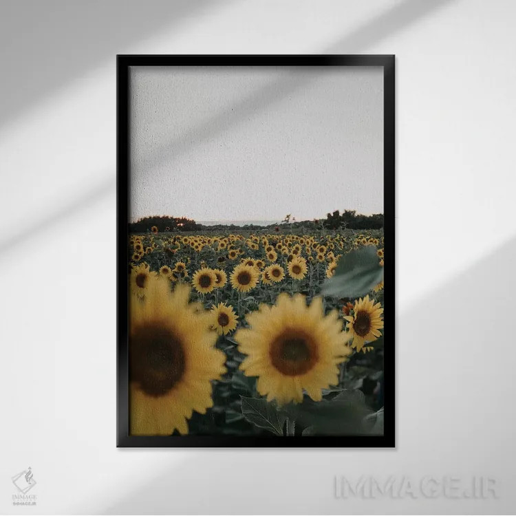 تابلو دکوراتیو ریشه و شکوفه اثر چلسیا ویکتوریا - نمای قابدار مشکی