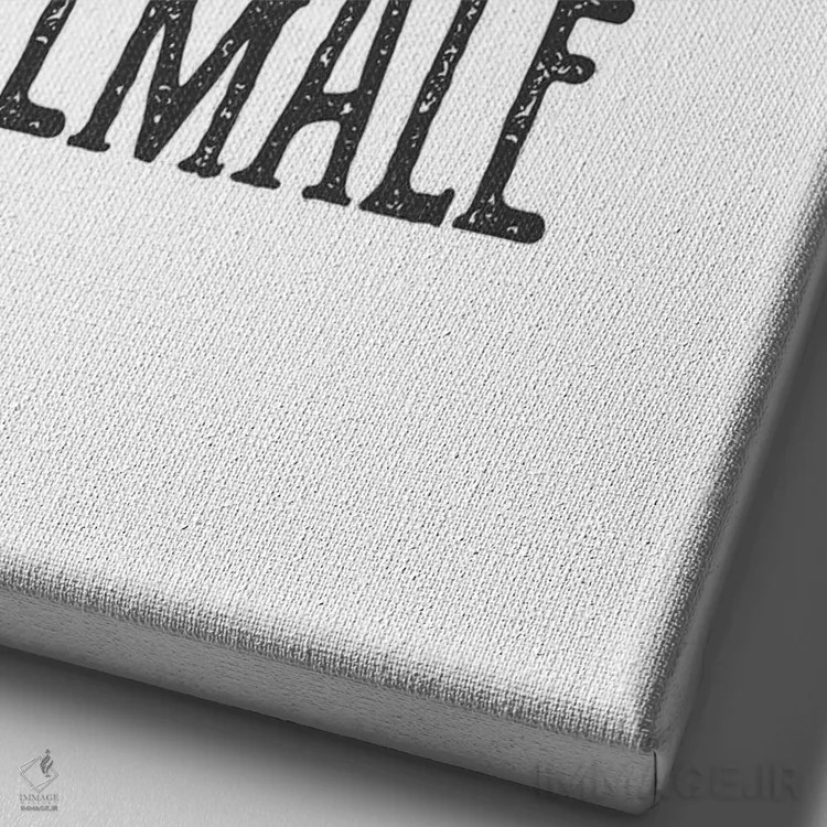 تابلو مینیمال آینده متعلق به زنان است اثر چلسیا ویکتوریا - نمای نزدیک بافت بوم