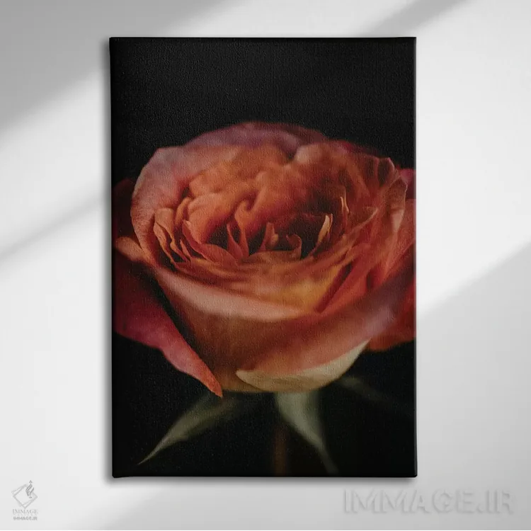 تابلو دکوراتیو رز امبره اثر چلسیا ویکتوریا - نمای روبهرو روی دیوار