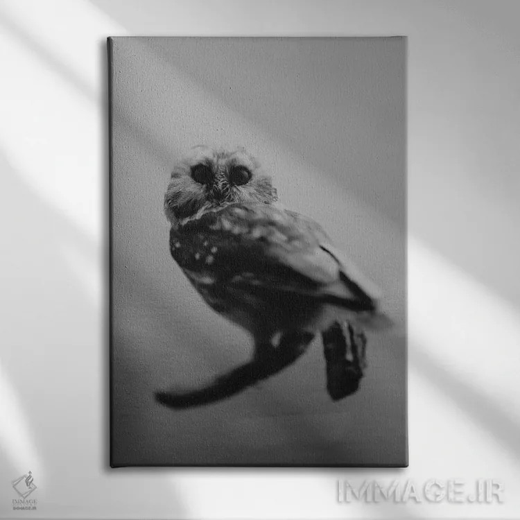 تابلو دکوراتیو هوو اثر چلسیا ویکتوریا - نمای روبهرو روی دیوار
