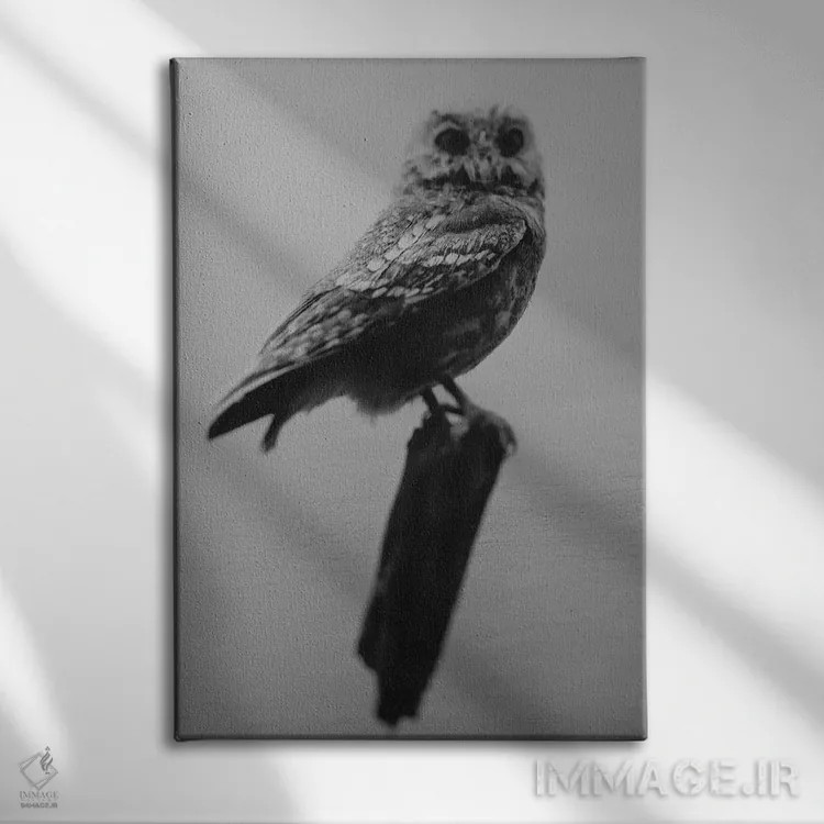 تابلو دکوراتیو جغد کنجکاو اثر چلسیا ویکتوریا - نمای روبهرو روی دیوار