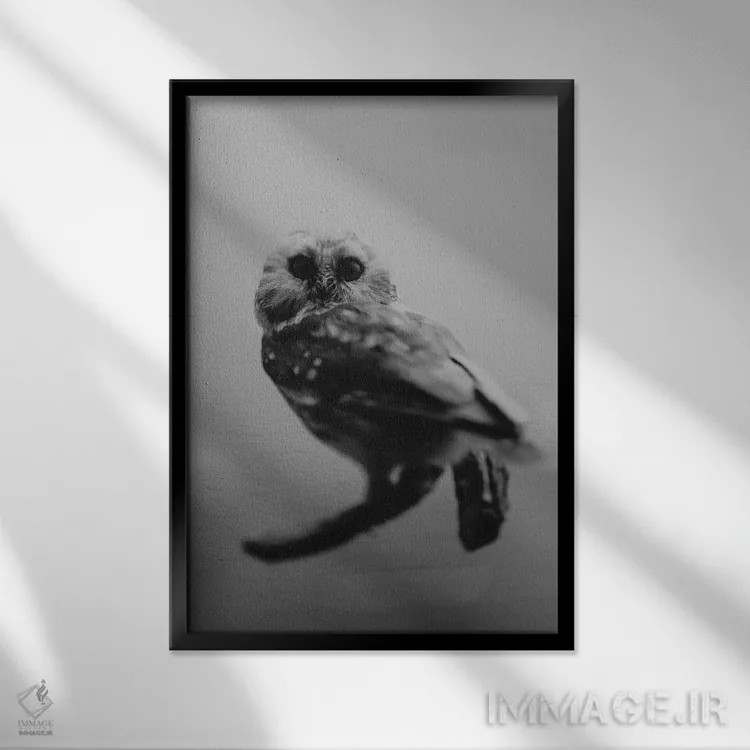تابلو دکوراتیو هوو اثر چلسیا ویکتوریا - نمای قابدار مشکی