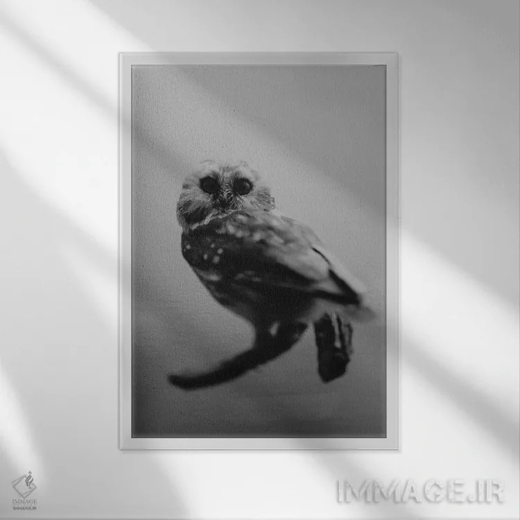 تابلو دکوراتیو هوو اثر چلسیا ویکتوریا - نمای قابدار سفید