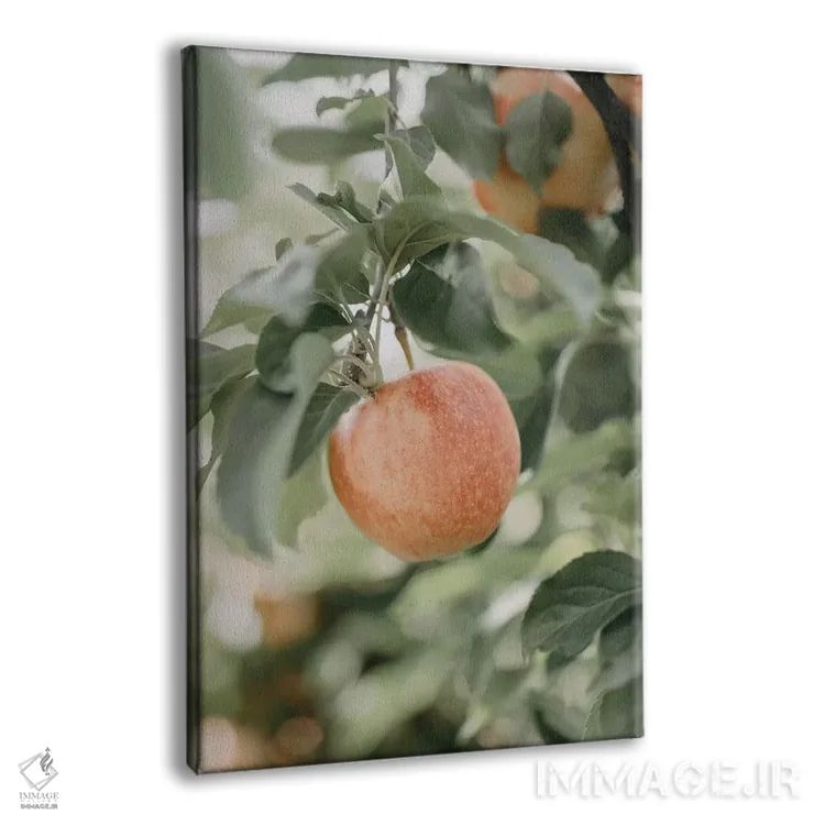 تابلو مدرن سیب در باغ اثر چلسیا ویکتوریا - نمای پرسپکتیو محصول