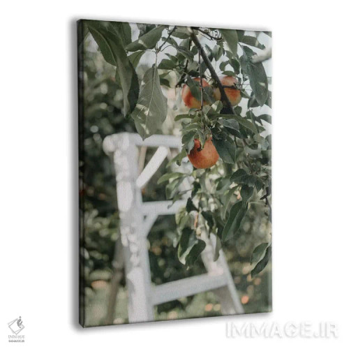 تابلو مدرن سیب ها در باغ اثر چلسیا ویکتوریا - نمای پرسپکتیو محصول