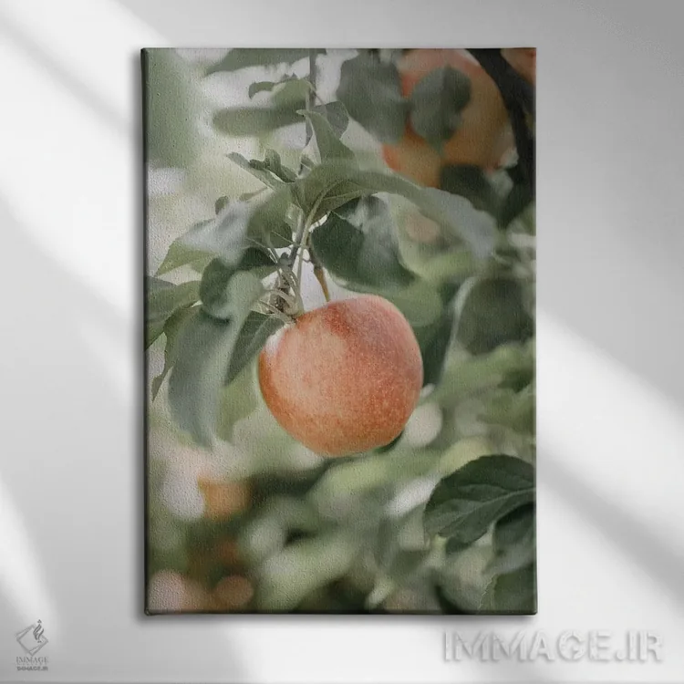 تابلو مدرن سیب در باغ اثر چلسیا ویکتوریا - نمای روبهرو روی دیوار