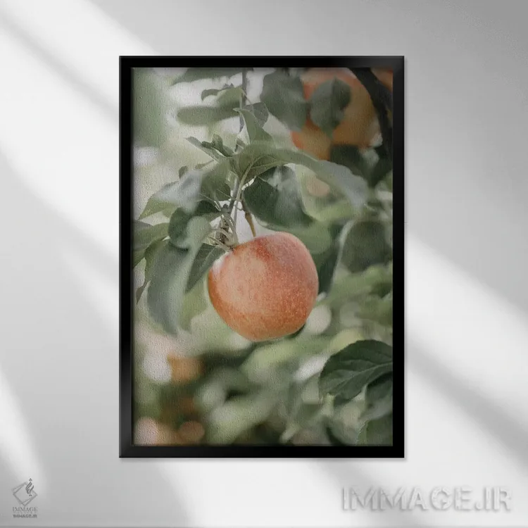 تابلو مدرن سیب در باغ اثر چلسیا ویکتوریا - نمای قابدار مشکی