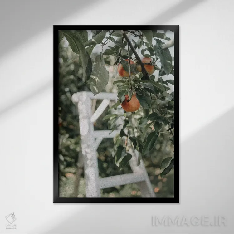 تابلو مدرن سیب ها در باغ اثر چلسیا ویکتوریا - نمای قابدار مشکی