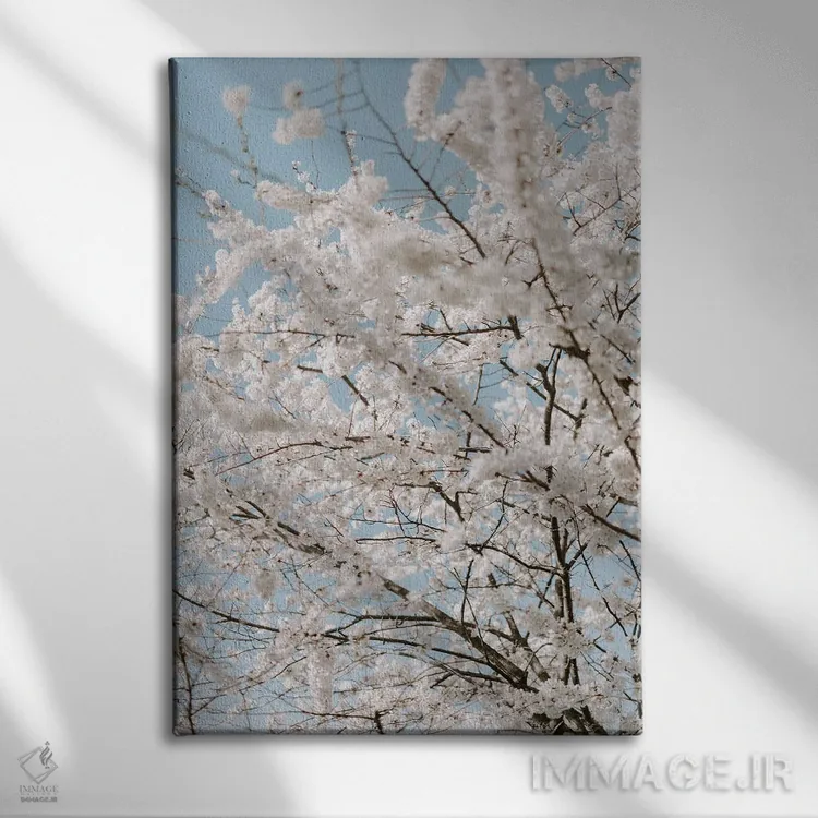 تابلو دکوراتیو گیلاس های زیبا اثر چلسیا ویکتوریا - نمای روبهرو روی دیوار