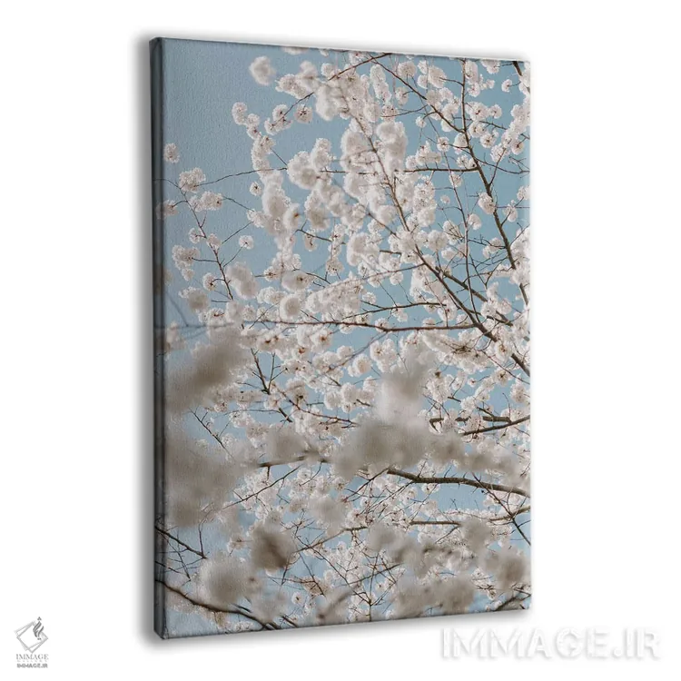 تابلو دکوراتیو عشق گیلاسی اثر چلسیا ویکتوریا - نمای پرسپکتیو محصول