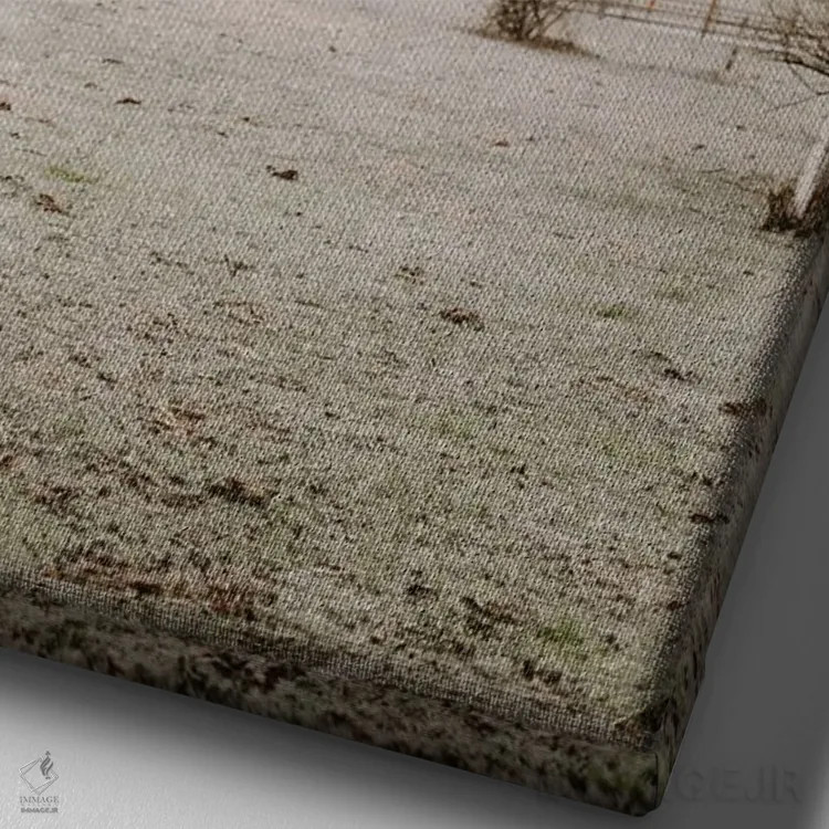 تابلو دکوراتیو گاو هایلند مه آلود اثر چلسیا ویکتوریا - نمای نزدیک بافت بوم