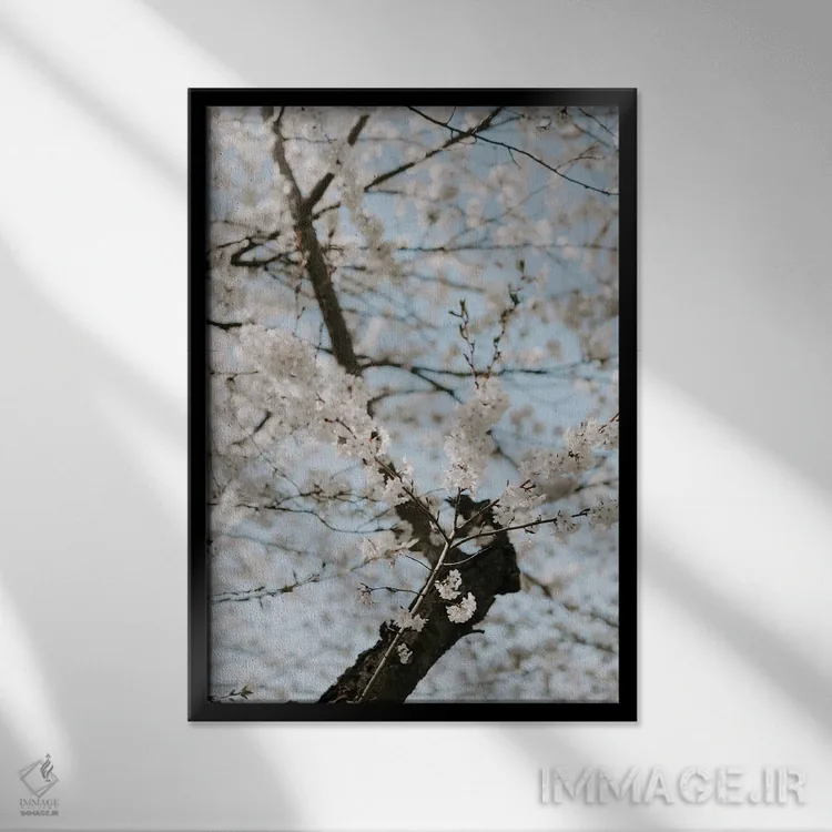 تابلو دکوراتیو شکوفه های واشنگتن اثر چلسیا ویکتوریا - نمای قابدار مشکی