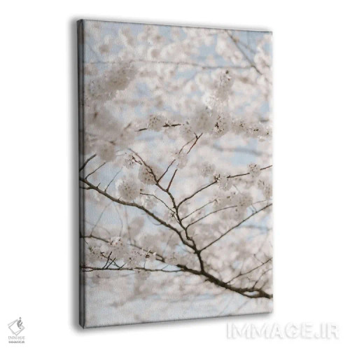 تابلو دکوراتیو گل آسمان اثر چلسیا ویکتوریا - نمای پرسپکتیو محصول