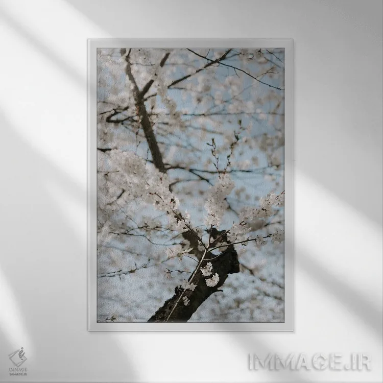 تابلو دکوراتیو شکوفه های واشنگتن اثر چلسیا ویکتوریا - نمای قابدار سفید