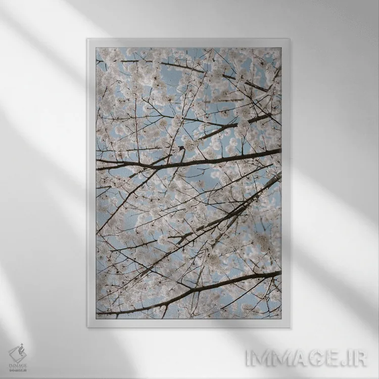 تابلو دکوراتیو شکوفه های سفید گیلاس اثر چلسیا ویکتوریا - نمای قابدار سفید