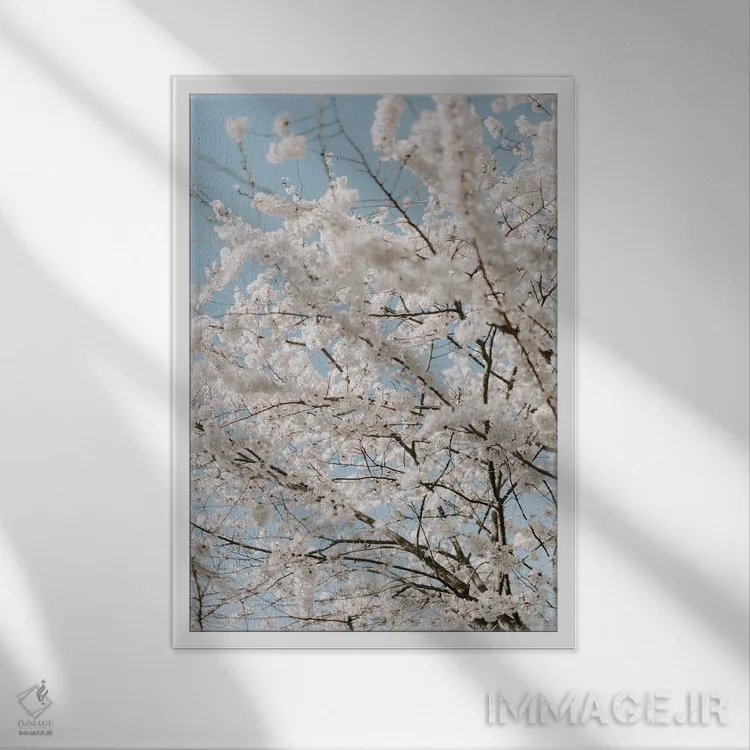 تابلو دکوراتیو گیلاس های زیبا اثر چلسیا ویکتوریا - نمای قابدار سفید