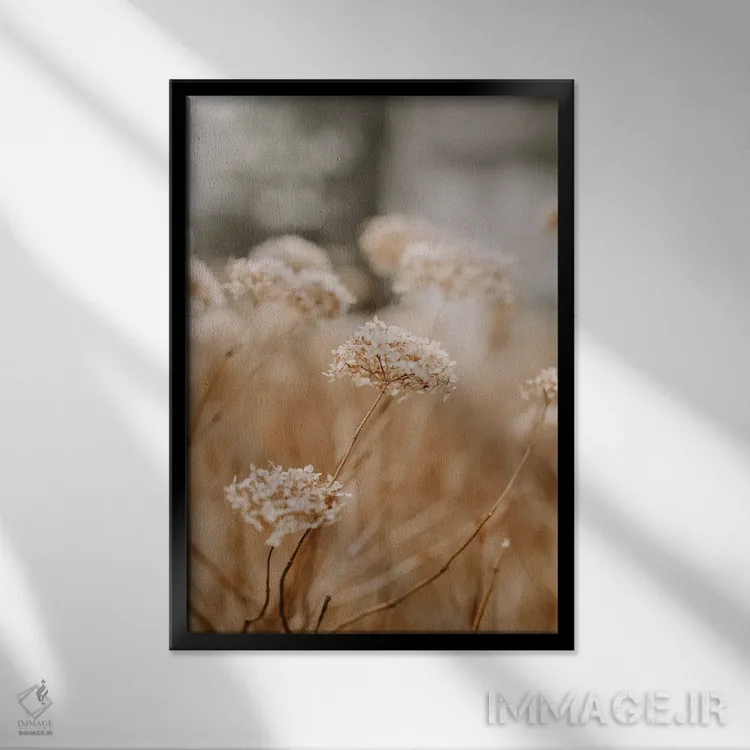 تابلو دکوراتیو آخرین ادریسی اثر چلسیا ویکتوریا - نمای قابدار مشکی