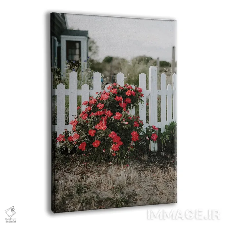 تابلو دکوراتیو گل های کیپ کاد اثر چلسیا ویکتوریا - نمای پرسپکتیو محصول