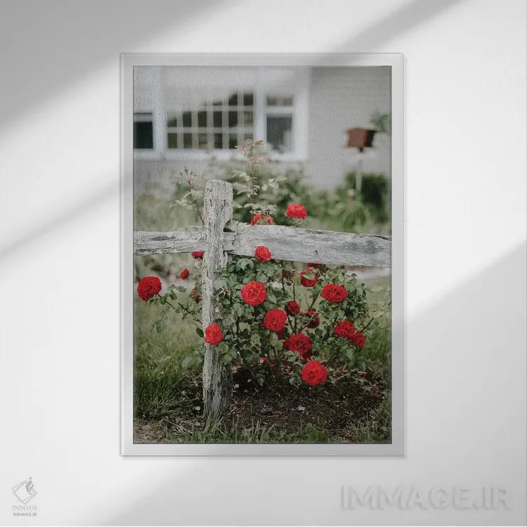 تابلو دکوراتیو خانه ساحلی اثر چلسیا ویکتوریا - نمای قابدار سفید