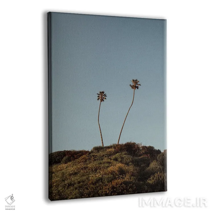 تابلو دکوراتیو نخل های مالیبو اثر چلسیا ویکتوریا - نمای پرسپکتیو محصول