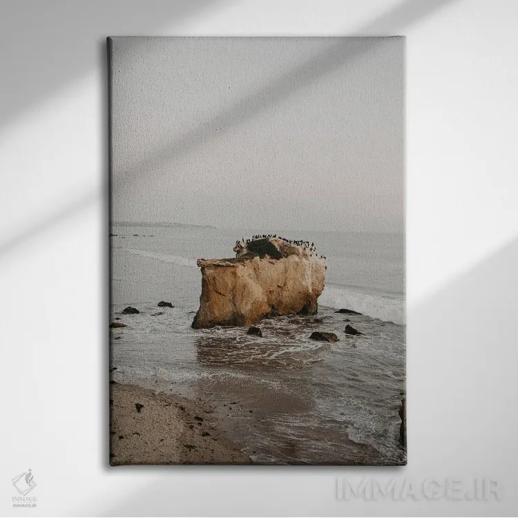 تابلو دکوراتیو پرندگان مالیبو اثر چلسیا ویکتوریا - نمای روبهرو روی دیوار