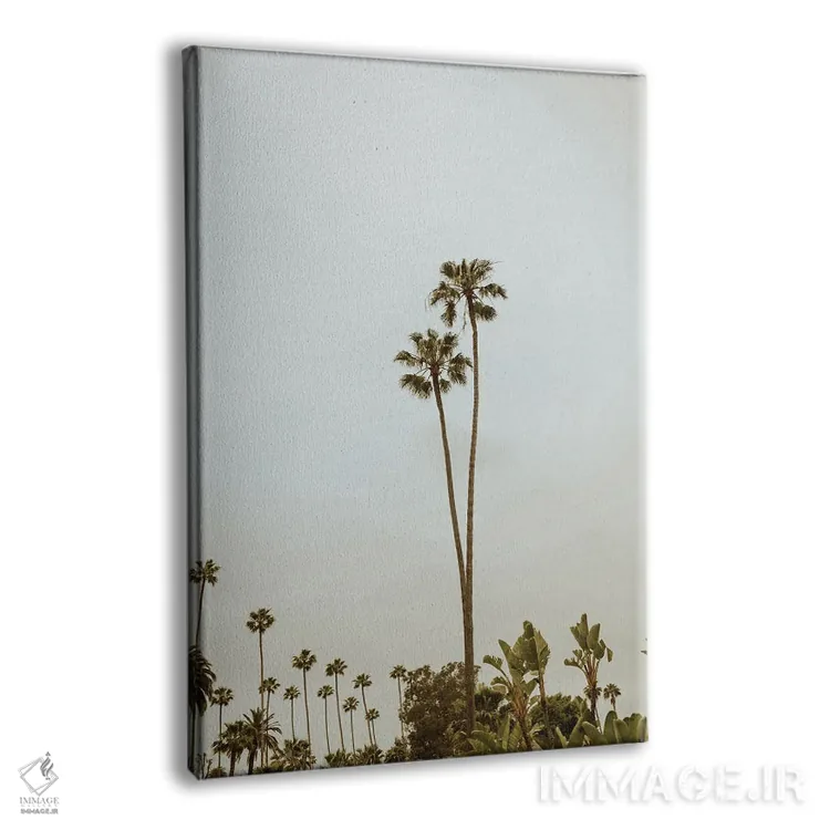 تابلو دکوراتیو بورلی هیلز اثر چلسیا ویکتوریا - نمای پرسپکتیو محصول