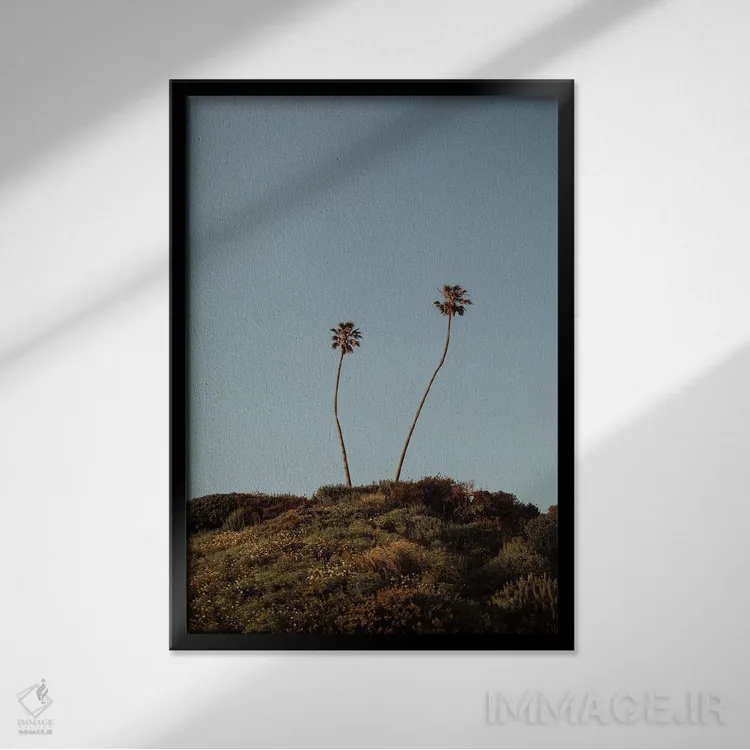 تابلو دکوراتیو نخل های مالیبو اثر چلسیا ویکتوریا - نمای قابدار مشکی