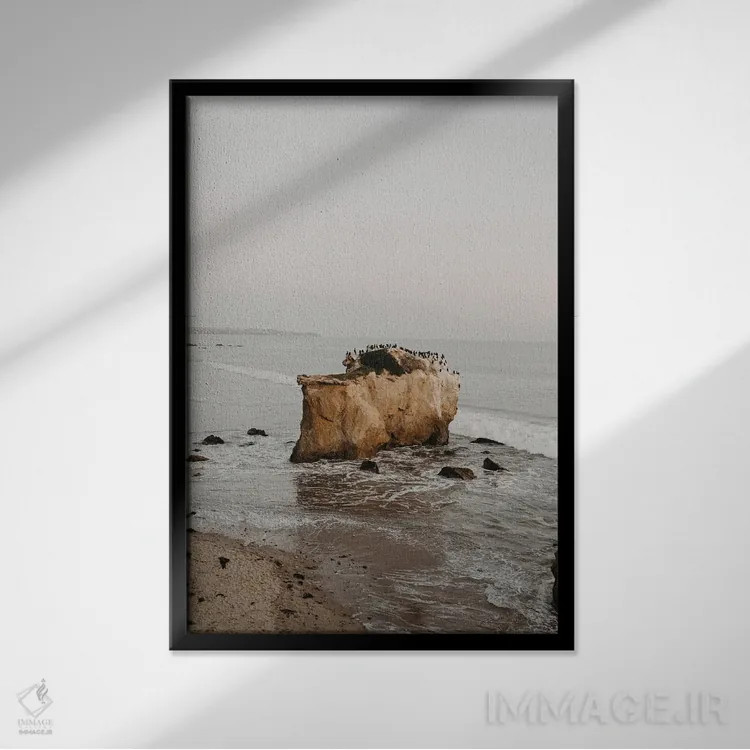 تابلو دکوراتیو پرندگان مالیبو اثر چلسیا ویکتوریا - نمای قابدار مشکی