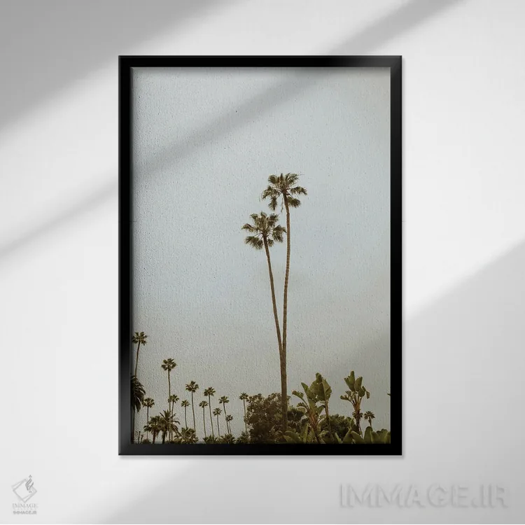 تابلو دکوراتیو بورلی هیلز اثر چلسیا ویکتوریا - نمای قابدار مشکی