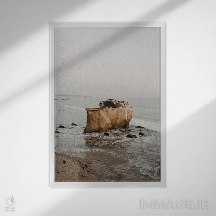 تابلو دکوراتیو پرندگان مالیبو اثر چلسیا ویکتوریا - نمای قابدار سفید