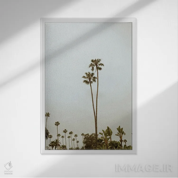 تابلو دکوراتیو بورلی هیلز اثر چلسیا ویکتوریا - نمای قابدار سفید