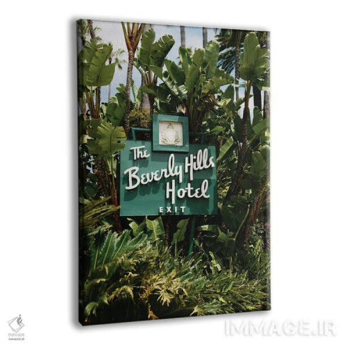 تابلو دکوراتیو هتل بورلی هیلز اثر چلسیا ویکتوریا - نمای پرسپکتیو محصول