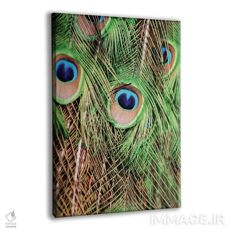 تابلو دکوراتیو پرهایت را بتکان ۲ اثر چلسیا ویکتوریا - نمای پرسپکتیو محصول