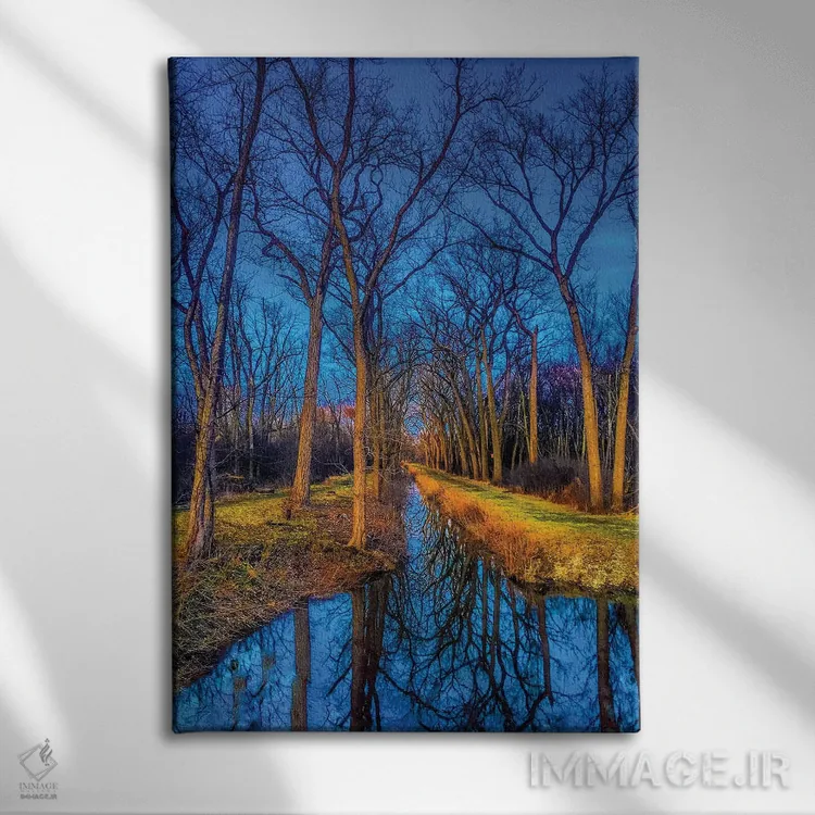 تابلو دکوراتیو آب در جنگل اثر کیتلین ورا - نمای روبهرو روی دیوار