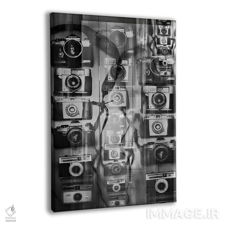 تابلو دکوراتیو دوربین ها اثر کیتلین ورا - نمای پرسپکتیو محصول