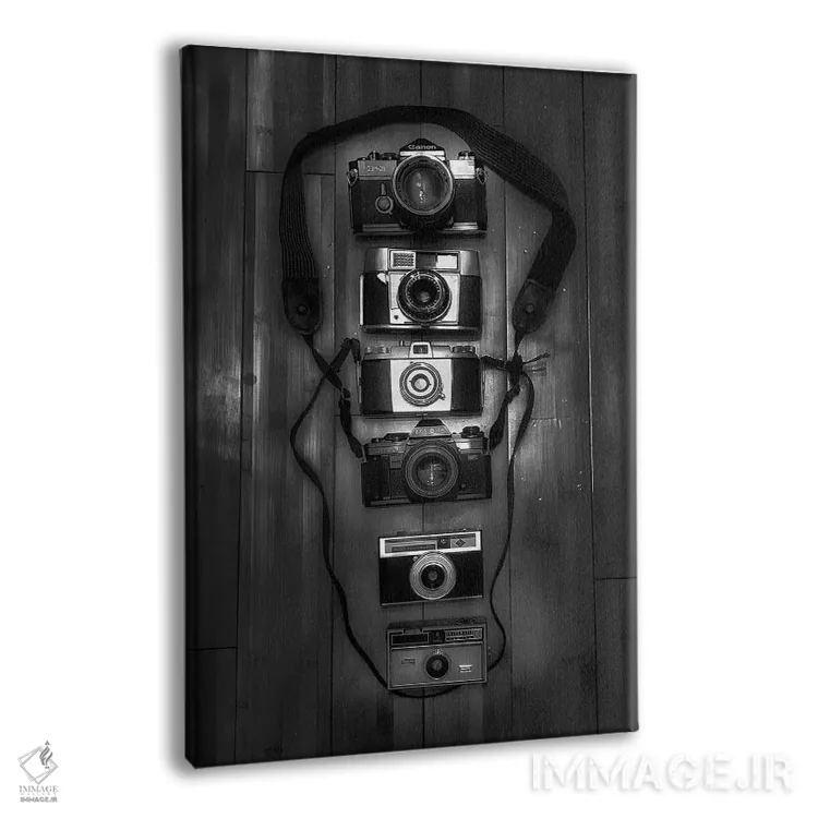 تابلو دکوراتیو دوربین ها اثر کیتلین ورا - نمای پرسپکتیو محصول